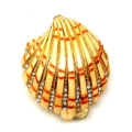 The Sea Shell Alloy Pewter Jewelry Box