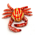 The Swimming Crab Jewelry Box